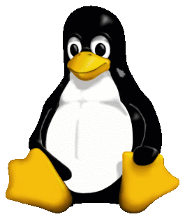 It’s a Small World:  Tiny Linux Operating System Options